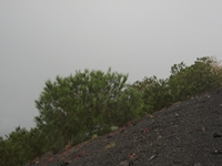 nte Rinatu-20110615 111